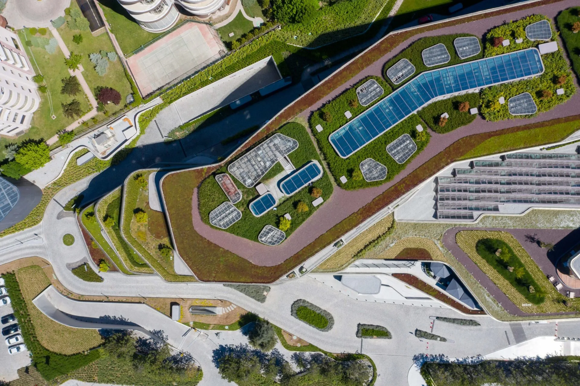 Kuzu Effect roof landscaping from above