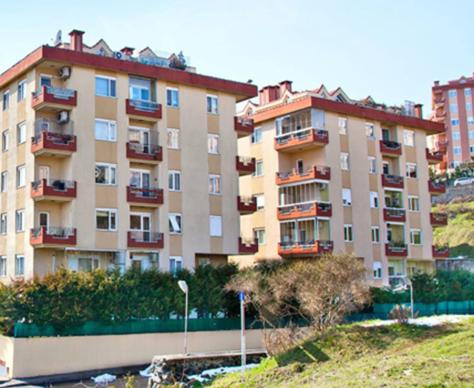Seba Panorama image