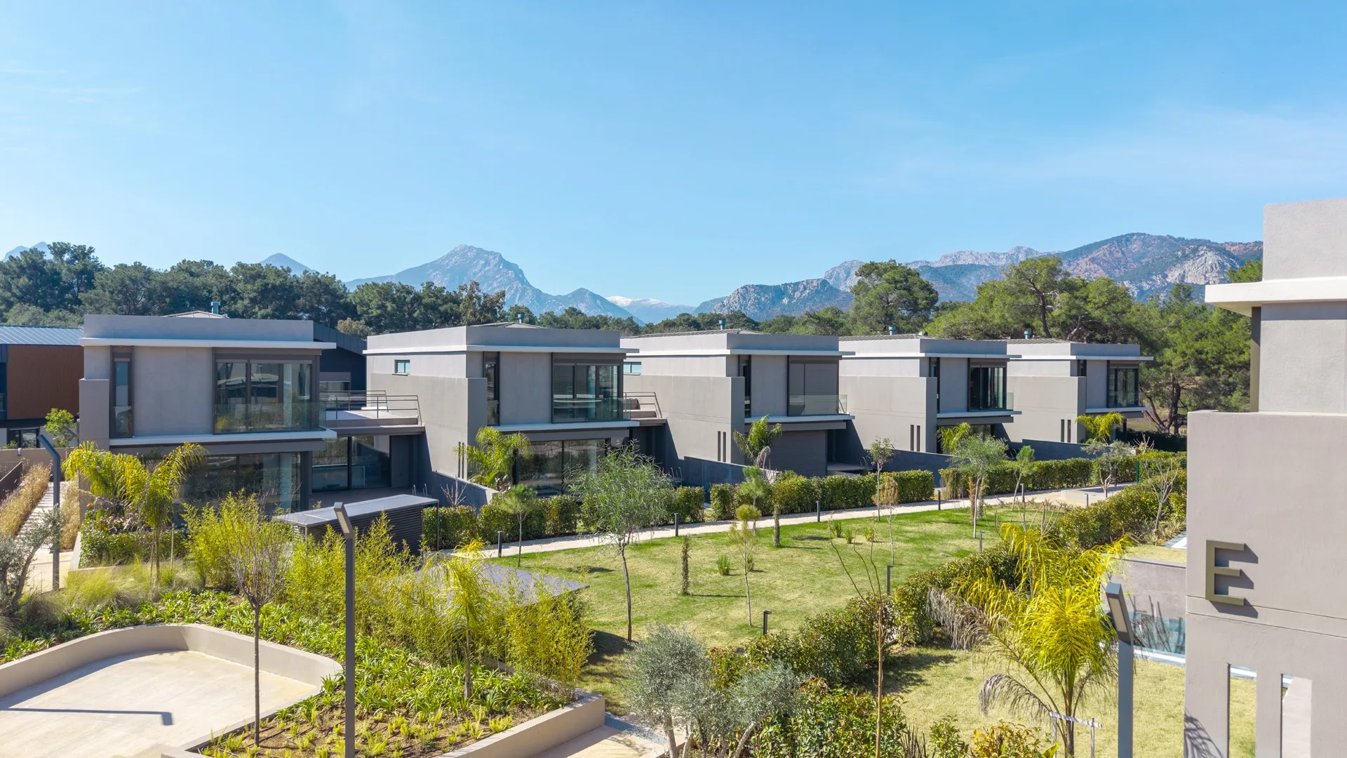 Terra Doğa villa sırası